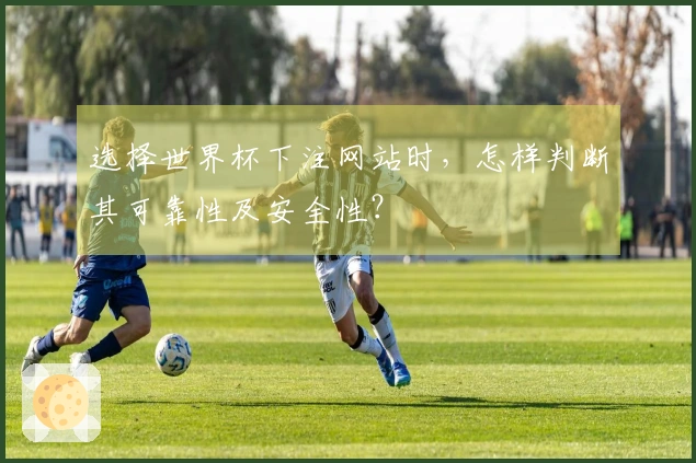 选择世界杯下注网站时，怎样判断其可靠性及安全性？